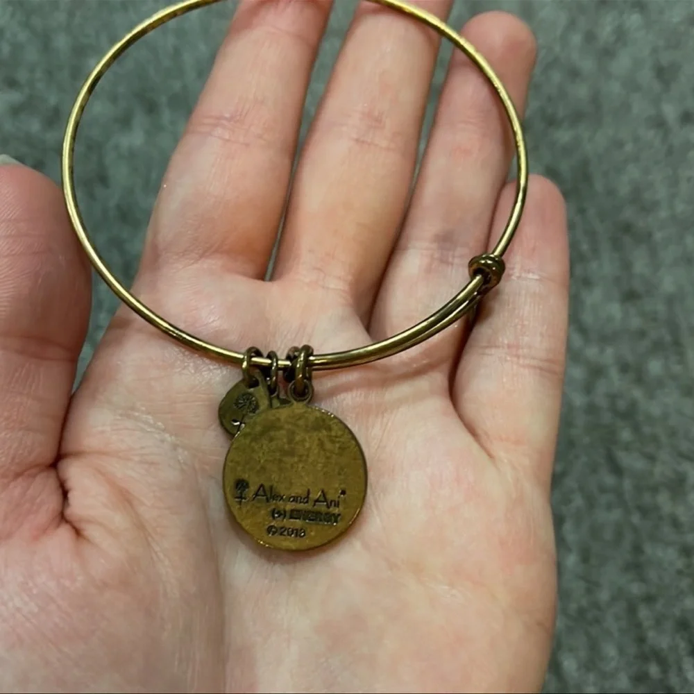 Alex & Ani “Live in the moment” bracelet